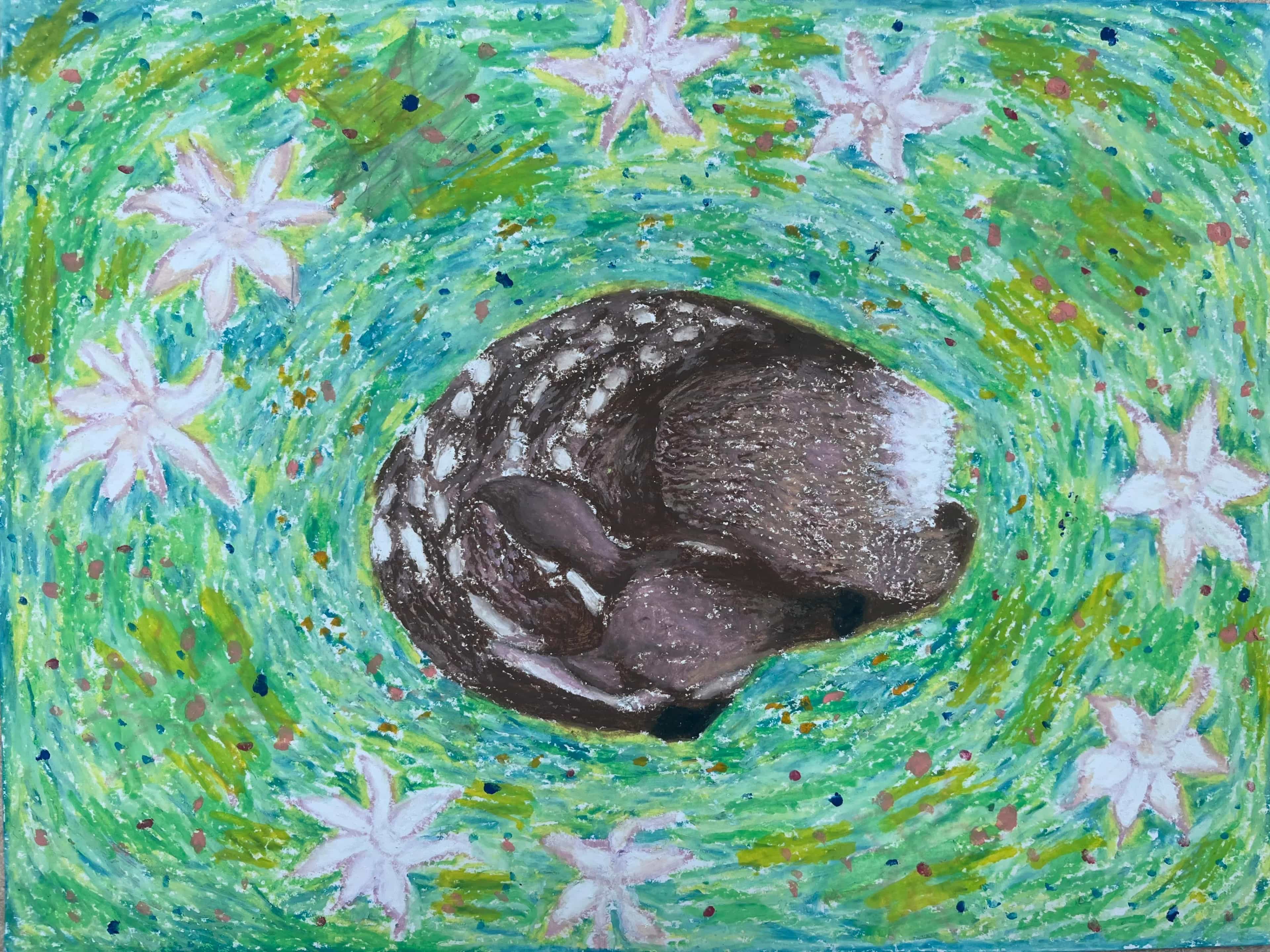 previous contest entry